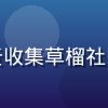 用户体验研究员张雨桐的照片，负责收集草榴社区在线观看用户反馈并改进内容质量